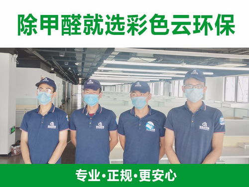 合肥除甲醛公司與教育咨詢服務 跨界融合，守護健康學習空間