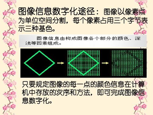 計算機中的聲音世界 信息技術(shù)與計算機信息技術(shù)開發(fā)的交融